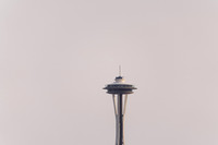 RP103240
