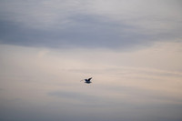 DSC00013