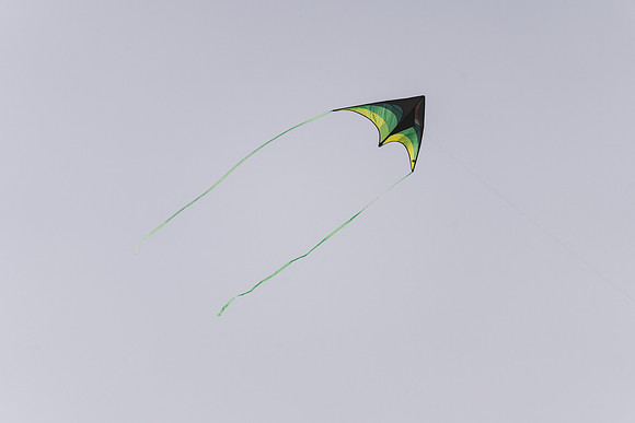RP103232