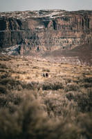 A7R09776