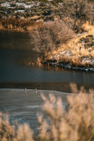 A7R09849