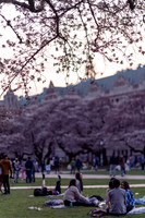 A7R00915