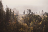 A7R00127