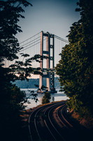 NZ6_0631