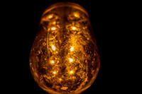 Texture in a Light Bulb In Washington Park