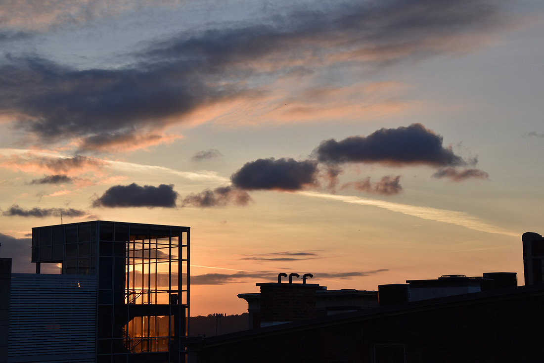 DSC_3201