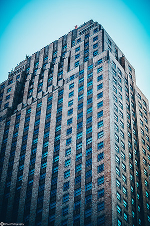 DSC_4654-2
