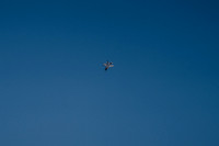 Seafair 8/6/22