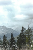 Olympic Peninsula SM