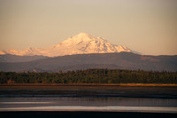 RP109745