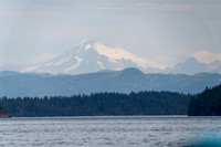 RP106942