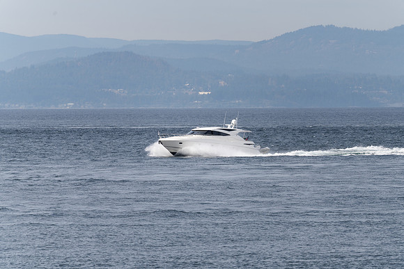 RP106819