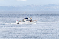 San Juan Whale Watching 2023