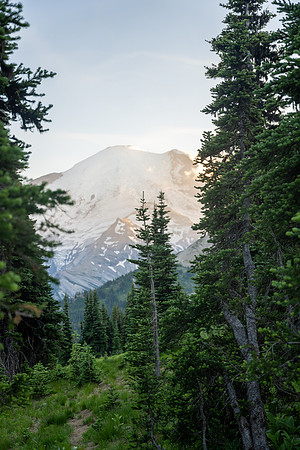 A7R00399