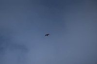 DSC00120