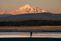 RP109766
