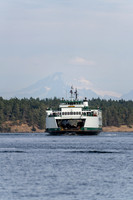 RP106872