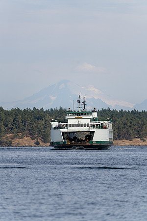 RP106872