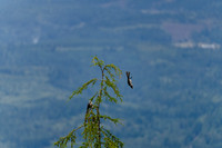 A7R02648