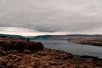 RP103779