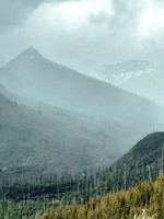 IMG_1738