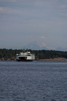 RP106867