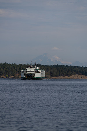 RP106867