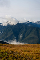 A7R02669