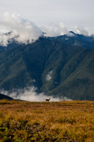 A7R02669-2